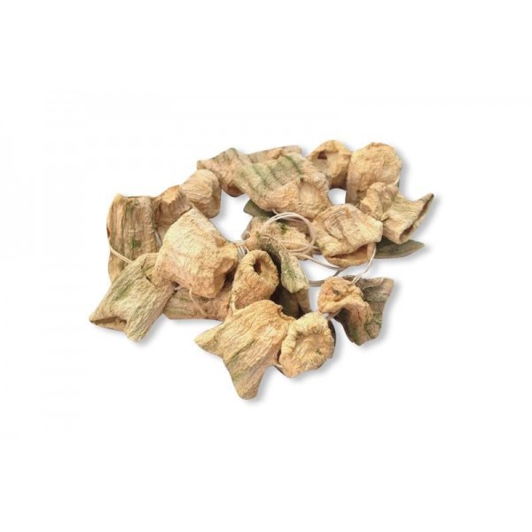 Dolmalık Kabak Dizisi