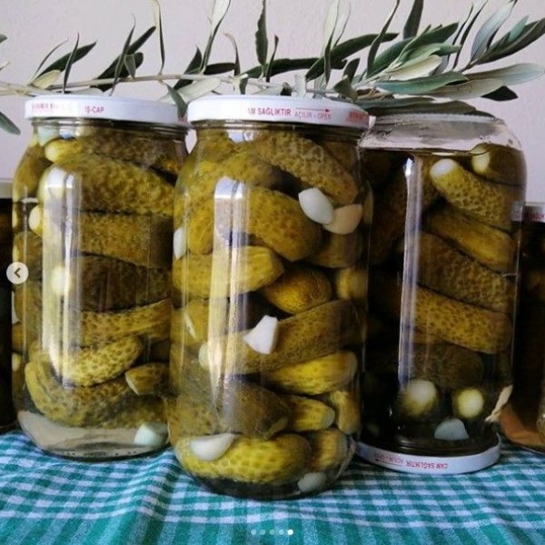 Ev Yapımı Salatalık Turşusu 1000 cc 